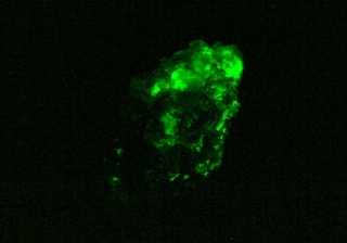 Opal-AN - Mátra Mtns, Heves Co., Hungary
